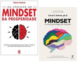 Livro Os Códigos do Mindset da Prosperidade + Mindset