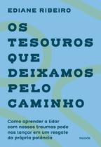 Livro - Os tesouros que deixamos pelo caminho Livro - Os tesouros que deixamos pelo caminho