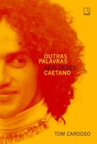 Livro - Outras palavras: Seis vezes Caetano