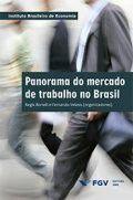 Livro - Panorama Do Mercado De Trabalho No Brasil - 1Ed/14 - FGV