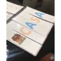 Livro para auxiliar na alfabetização formando palavras consciência fonológica plastificado