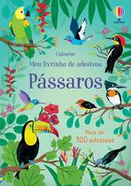 Livro - Pássaro: Meu livrinho de adesivoss