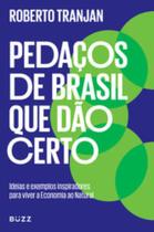 Livro Pedaços de Brasil que dão Certo Roberto Tranjan Livro Pedaços de Brasil que dão Certo Roberto Tranjan