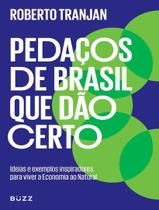 Livro Pedaços de Brasil que dão Certo Roberto Tranjan