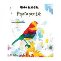 Livro - Pequeno pode tudo