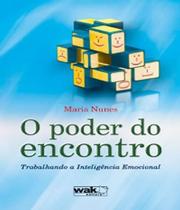 Livro Poder Do Encontro - Trabalhando