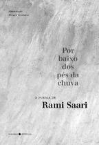 Livro - Por baixo dos pés da chuva