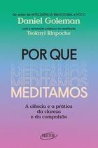 Livro Por que Meditamos Livro Por que Meditamos