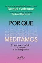 Livro Por que Meditamos