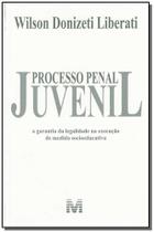 Livro - Processo penal juvenil - 1 ed./2008