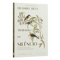 Livro - Quando Deus trabalha em silêncio