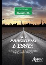 Livro - Que progresso é esse? os megaprojetos e as transformações nas relações de trabalho