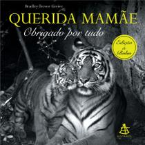 Livro - Querida mamãe - Edição de bolso