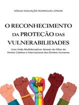 Livro - Reconhecimento Da Protecao Das Vulnerabilidades, O - PROCESSO Livro - Reconhecimento Da Protecao Das Vulnerabilidades, O - PROCESSO