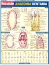 Livro - Resumão Anatomia Dentária