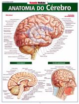 Livro - Resumao - Anatomia Do Cerebro