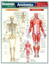 Livro - Resumao - Anatomia - Sistemas Do Corpo Humano