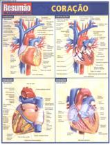Livro - Resumao - Coracao - RESUMAO