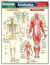 Livro - Resumão Escolar Anatomia: Sistemas do Corpo Humano Ensino Fundamental - BARROS FISCHER & ASSOCIADOS