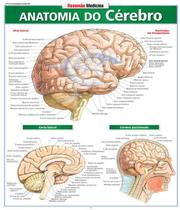Livro - Resumão Medicina Anatomia do Cérebro - Perez