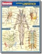 Livro - Resumao Medicina - Sistema Linfatico