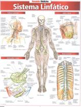 Livro - Resumao - Sistema Linfatico