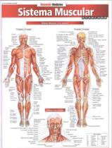 Livro - Resumao - Sistema Muscular Avancado
