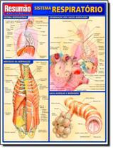 Livro - Resumao - Sistema Respiratorio