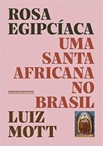 Livro Rosa Egipcíaca: Uma santa africana no Brasil Luiz Mott
