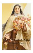 Livro - Santa Teresinha - Um Caminho Todo Novo