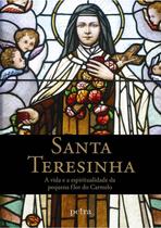 Livro - Santa Teresinha