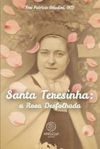 Livro - Santa Teresinha