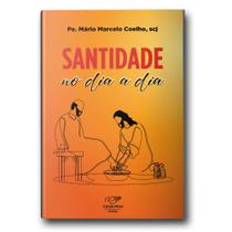 Livro Santidade no Dia a Dia - Padre Mário Marcelo Coelho - Canção nova