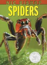 Livro Scholastic Nic Bishop Aranhas Sibert Honor Livro Scholastic Nic Bishop Aranhas Sibert Honor
