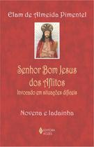 Livro - Senhor Bom Jesus dos Aflitos Livro - Senhor Bom Jesus dos Aflitos