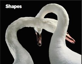 Livro - Shapes