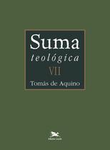 Livro - Suma teológica - Vol. VII