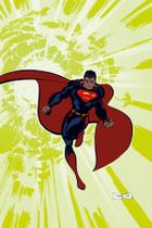 Livro - Superman: Kryptonita