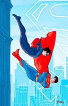 Livro - Superman Vol. 11 / 69