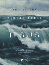 Livro Surpreendido por Jesus Dane C Ortlund