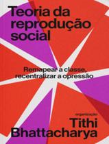 Livro - Teoria Da Reproducao Social