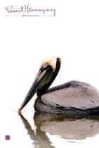 Livro - Ter e não ter