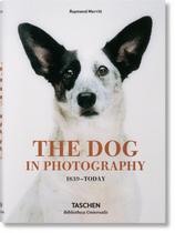 Livro - The dog in photography 1839 - today