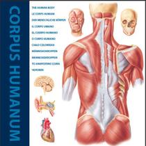 Livro - The human body