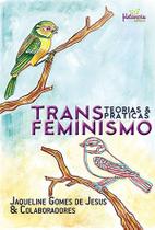 Livro Transfeminismo: Teorias E Práticas - Metanoia Editora Livro Transfeminismo: Teorias E Práticas - Metanoia Editora
