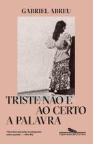 Livro - Triste não é ao certo a palavra Livro - Triste não é ao certo a palavra