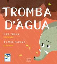 Livro - Tromba d'água