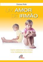 Livro - Um amor de irmão Livro - Um amor de irmão