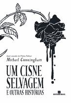 Livro - Um cisne selvagem e outras histórias