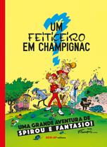 Livro - Um feiticeiro em Champignac